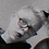 Daniel_Kuts