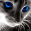 Vitaliy_S